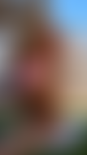Geblurrte Content-Vorschau