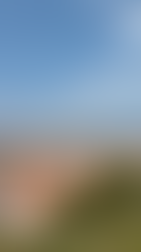 Geblurrte Content-Vorschau