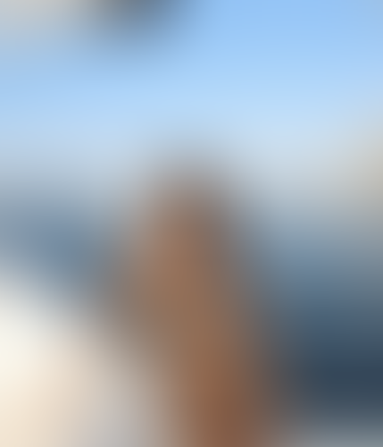 Blurred content preview