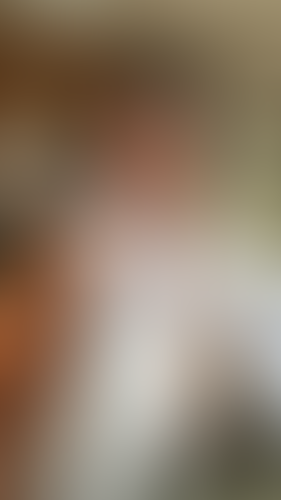 Geblurrte Content-Vorschau