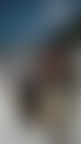 Geblurrte Content-Vorschau