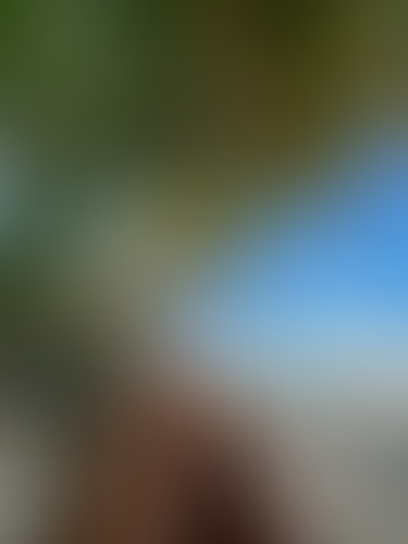 Blurred content preview
