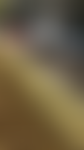 Geblurrte Content-Vorschau