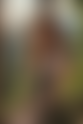 Geblurrte Content-Vorschau