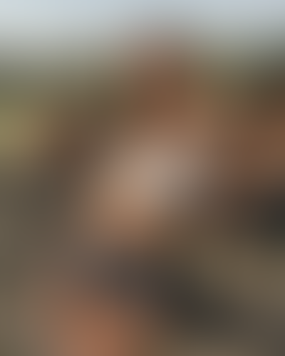 Blurred content preview