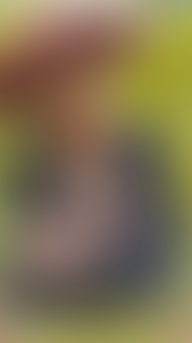 Geblurrte Content-Vorschau