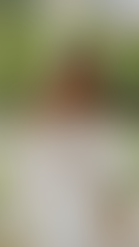Geblurrte Content-Vorschau