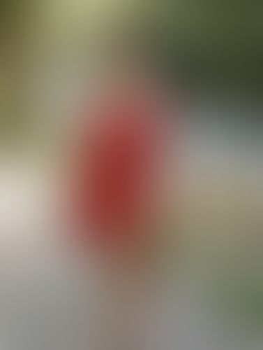 Geblurrte Content-Vorschau