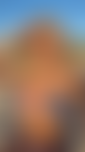 Geblurrte Content-Vorschau