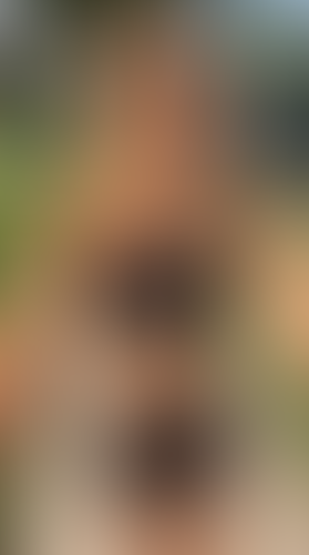 Geblurrte Content-Vorschau