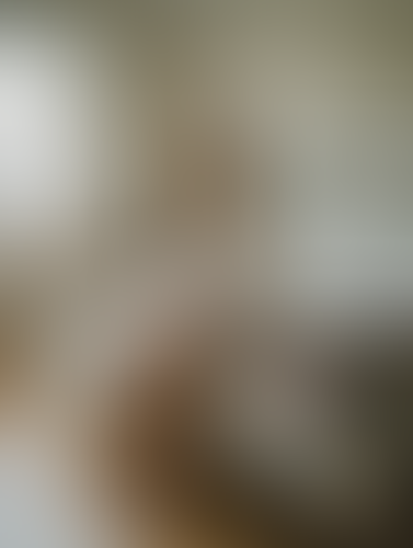 Geblurrte Content-Vorschau