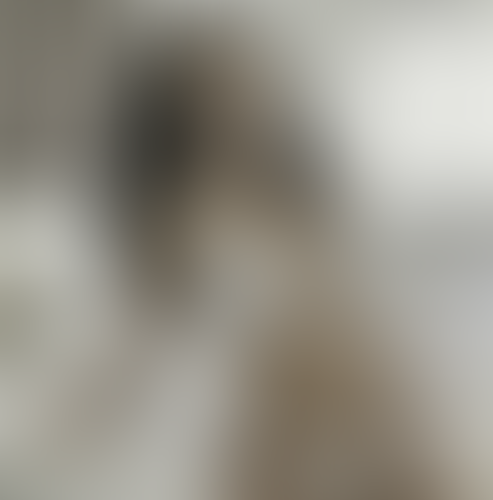 Geblurrte Content-Vorschau