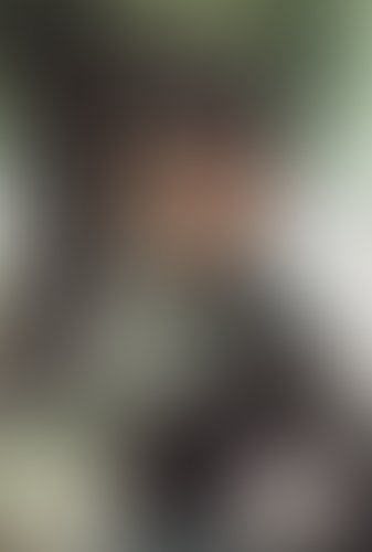 Geblurrte Content-Vorschau