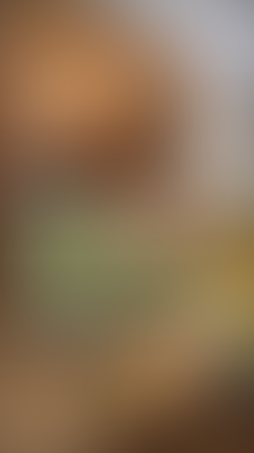 Blurred content preview