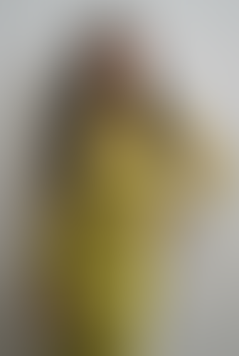 Geblurrte Content-Vorschau