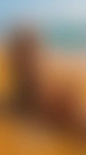 Blurred content preview