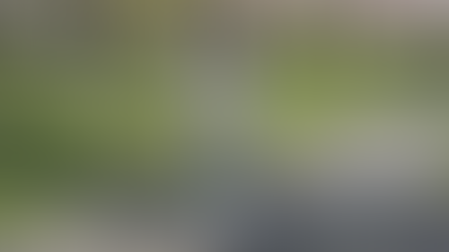 Geblurrte Content-Vorschau
