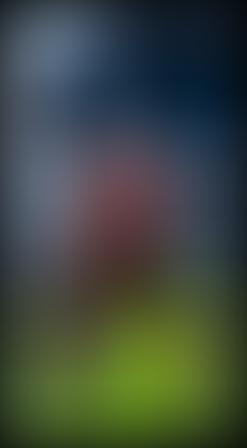 Geblurrte Content-Vorschau