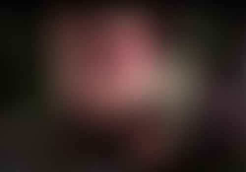 Geblurrte Content-Vorschau
