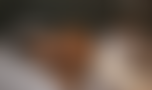 Blurred content preview