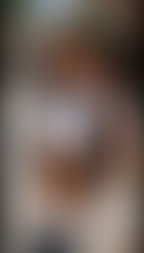 Geblurrte Content-Vorschau