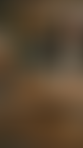 Geblurrte Content-Vorschau