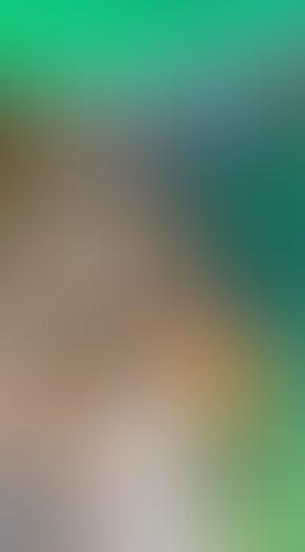 Geblurrte Content-Vorschau