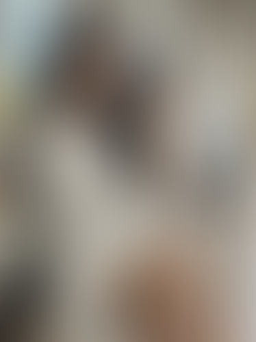 Geblurrte Content-Vorschau