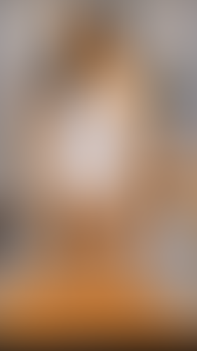 Geblurrte Content-Vorschau