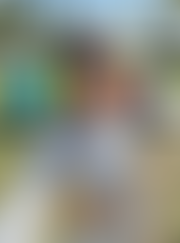 Geblurrte Content-Vorschau