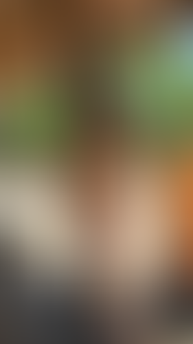 Geblurrte Content-Vorschau