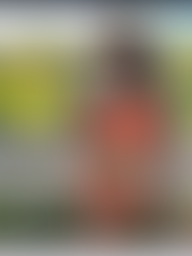 Geblurrte Content-Vorschau