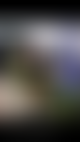 Geblurrte Content-Vorschau