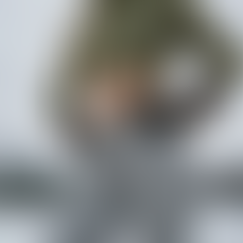 Geblurrte Content-Vorschau