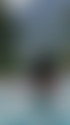 Blurred content preview