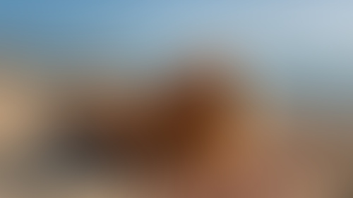 Geblurrte Content-Vorschau