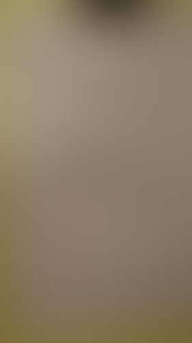 Geblurrte Content-Vorschau