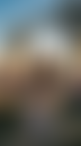 Geblurrte Content-Vorschau