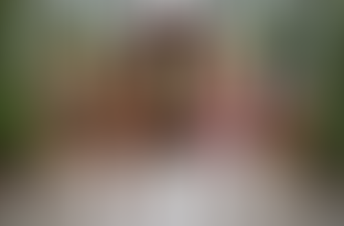 Geblurrte Content-Vorschau