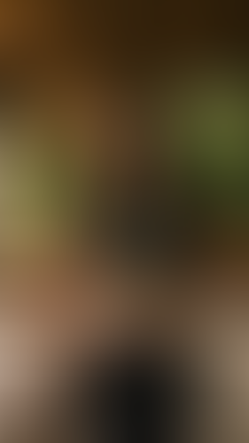 Geblurrte Content-Vorschau