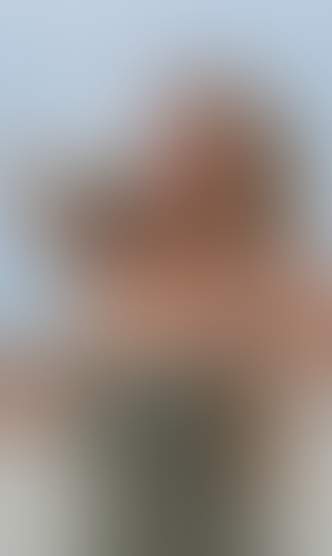 Blurred content preview