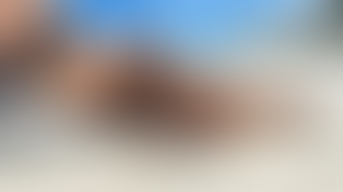 Geblurrte Content-Vorschau