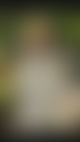 Geblurrte Content-Vorschau