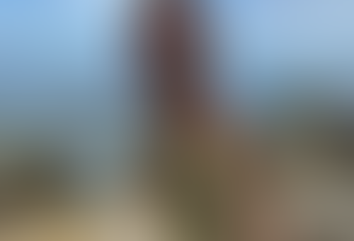 Geblurrte Content-Vorschau