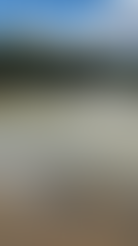 Geblurrte Content-Vorschau
