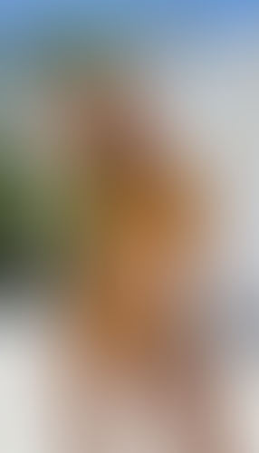 Geblurrte Content-Vorschau