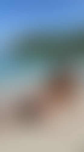 Blurred content preview