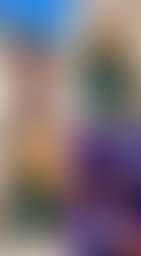 Blurred content preview