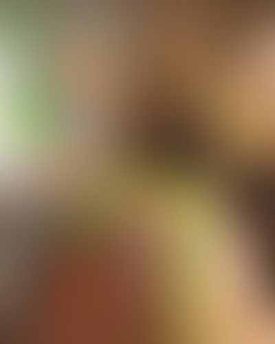 Blurred content preview