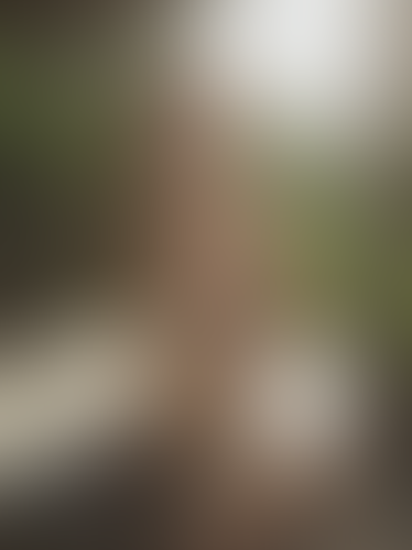 Geblurrte Content-Vorschau